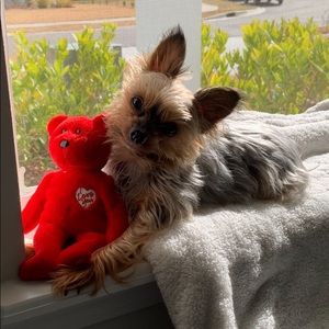 Meet your Posher, Eli